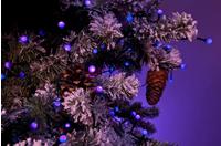 KONSTSMIDE LED-Lichterkette "Weihnachtsdeko aussen" 80 Stk.-flammig LED