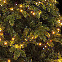 Lumineo 1-2 Glow 8 Function Classic LED 240cm 880 LED