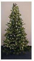 Hellum Quick Lights Tauperlen extrahell 210cm (577822)
