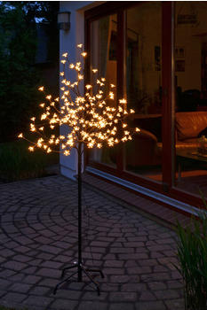 Haushalt International Sakurabaum (76000)