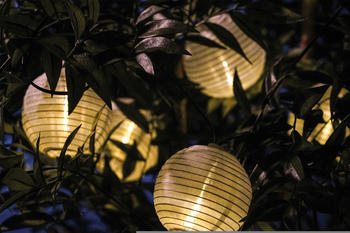 Esotec Solar-Lampion-Lichterkette 20 LEDs weiß (102184)