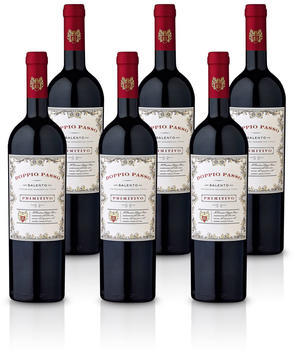 Casa Vinicola Botter Doppio Passo Primitivo Salento IGT 6x0,75l