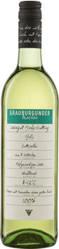 Peter Riegel Grauburgunder Qw Pfalz Ecovin 0,75l