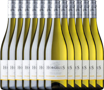 Domaine Horgelus Colombard-Sauvignon Côtes de Gascogne IGP 12x0,75l
