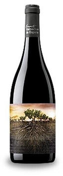 Proyecto Garnachas Olvidada de Aragón