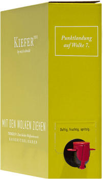 Weingut Kiefer Mit den Wolken ziehen Weißweincuvée trocken BiB 3,0l