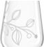 Leonardo Weißweinglas BOCCIO 580ml 6er-Set