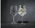 Nachtmann Tattoo Wein Spritzglas Botanical Black 2er Set Weinglas Glas 630 ml