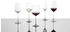 Schott-Zwiesel Weißweinglas Fortissimo 4er Set, Kristallglas, Transparent 420 ml
