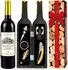 LuxusKollektion Sommelier-Set im Flaschendesign 5-teilig, gold