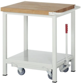 Rau Werkbank Serie 8000 fahrbar absenkbar Ablageboden 750 x 700 x 880 mm