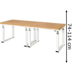 Rau Rau Werkbank elektrisch h&ouml;henverstellbar B2500xT900xH740-1140mm B-Platte-40 mm