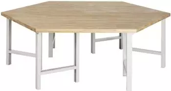 Rau Gruppenwerkbank Modell 4000, h&ouml;henverstellbar, 2700x2340mm (Modell 4000)