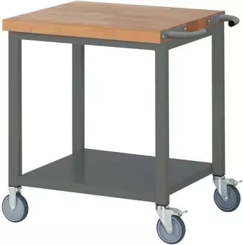 STIER Mobile Werkbank Premium mit Ablageboden 750x700x880mm (906048)