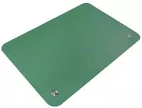 Quadrios ESD-Tischmatte Gr&uuml;n L x B 55 mm 55 (25EC163)