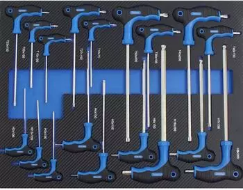Trutzholm Werkzeugeinlage Set Innensechskant Torx T-Griff 18-tlg. 52x40cm Schaum