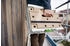 Festool Systainer SYS3-MFT M 112 (578496)