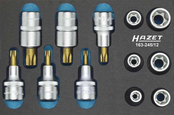 Hazet Torx-Werkzeug-Set (163-245/12)