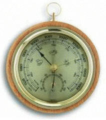 TFA Dostmann Thermo-Hygrometer 45.1000.01