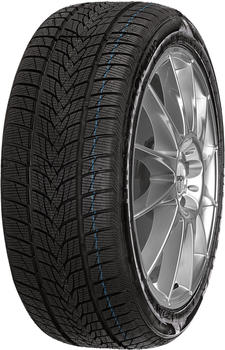 Minerva Frostrack UHP 205/55 R17 95V XL