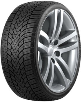 Roadmarch WINTERXPRO 888 225/55 R17 101H XL