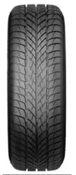 PAXARO Inverno 225/45R18 95V XL FR
