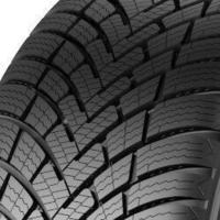 205/60 R16 92H Polaris 6 EVc