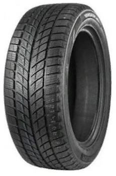 Doublestar Winterking DW09 255/55 R20 107H