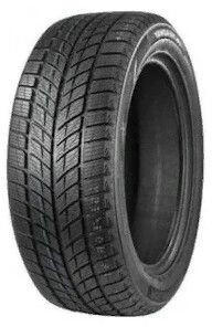 Doublestar Winterking DW09 225/45 R18 95T