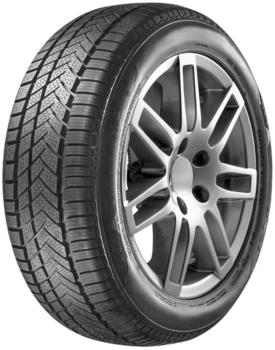Aptany RW211 225/50 R17 98V XL