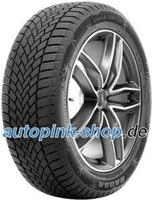 165/65R14 79T Dimax Winter