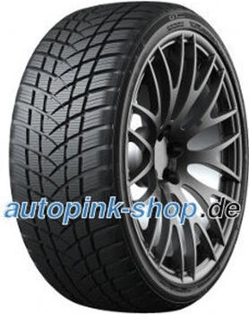 GT Radial Winterpro 2 Sport 225/55 R17 101V
