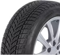 235/55 R19 101T Ultra Grip Performance 3 EVR ST