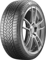 255/45 R20 105V WinterExpert XL FR EVc