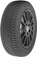 235/55 R17 103V Observe EWS1 XL