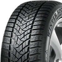 215/60 R16 95H Winter Sport 5