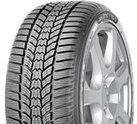 225/55 R16 95H Eskimo HP 2 FP