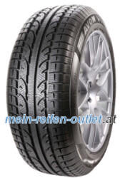 Avon WV7 Snow ( 205/55 R16 94H XL , mit Felgenhornschutz )
