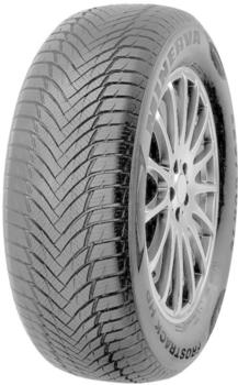 Minerva Frostrack HP 195/65 R14 89T