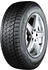 Bridgestone Blizzak DM-V2
