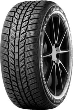 Evergreen EW62 205/55 R16 94H XL
