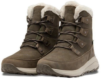 Jack Wolfskin DROMOVENTURE TEXAPORE HIGH W Outdoorwinterstiefel wasserdicht und w&auml;rmend