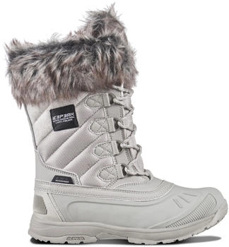 Icepeak ANSINA MS cement