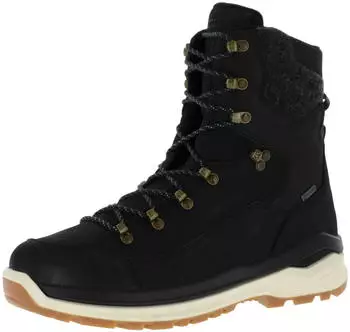 Lowa Renegade Evo Ice 2 GTX schwarz/honig
