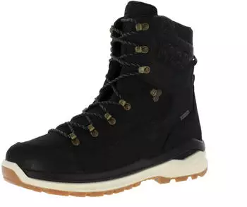 Lowa Renegade Evo Ice GTX oliv/dune