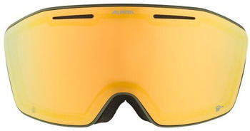 Alpina Sports Nendaz Q Skibrille orange (Olive Matt)