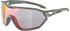grau: Alpina Sports S-Way QVM+