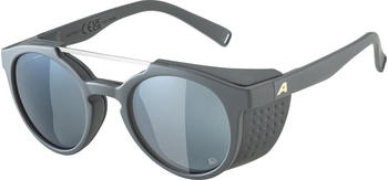Alpina Glace P A8738522