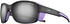 Julbo Monterosa 2