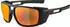 A8667032: Alpina Sports Skywalsh A8667